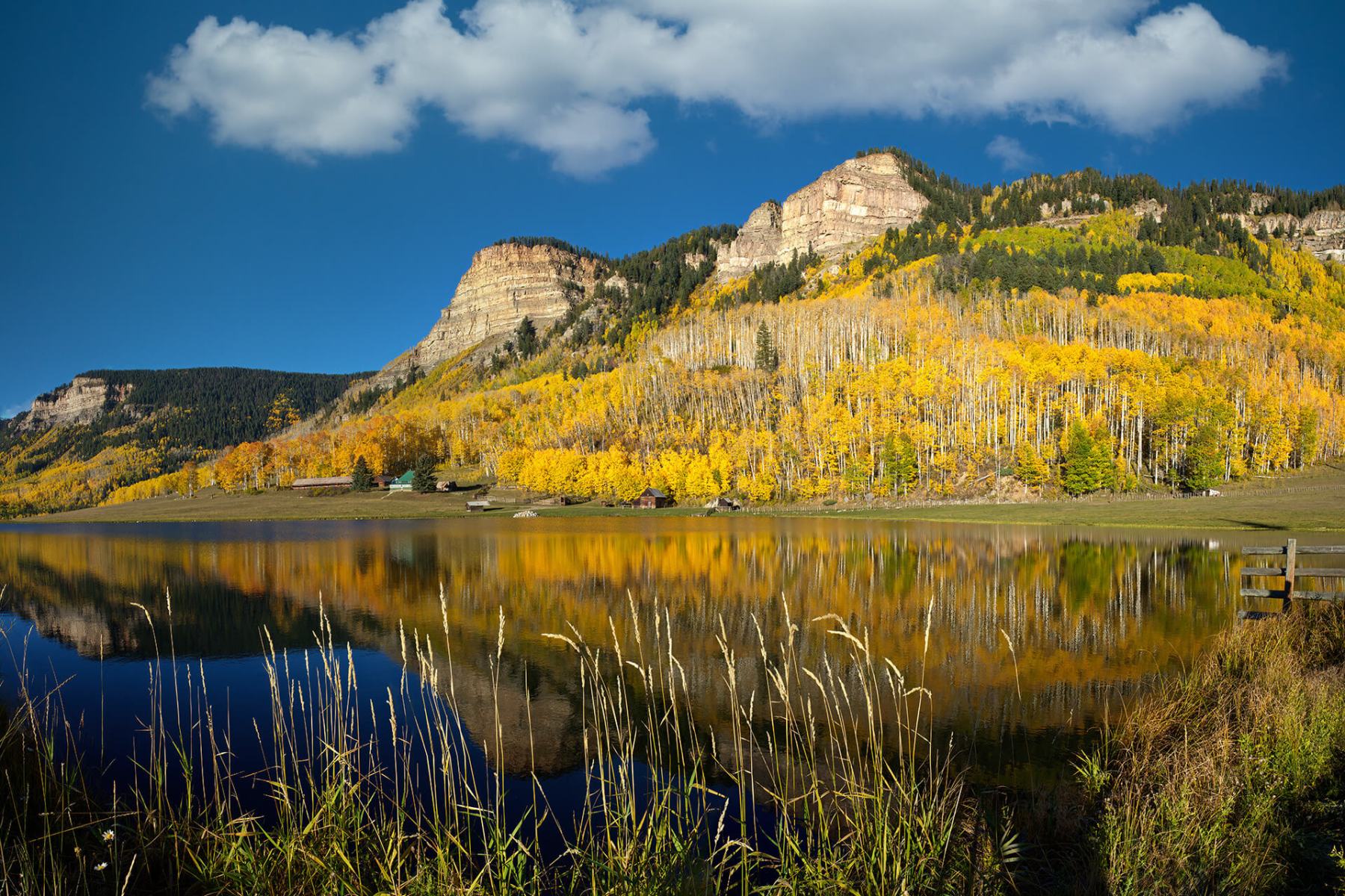 Durango-Colorado_Autumn_Leaves_Pond_Reflection_Panorama_WEBsm