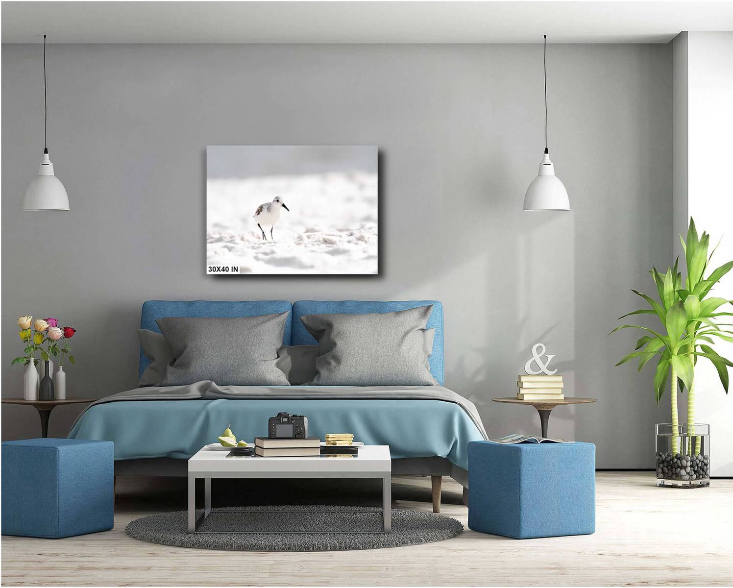 Bed-Artistic_View_of_Sanderling_on_Beach_4119_For_Print-30X40-diagram