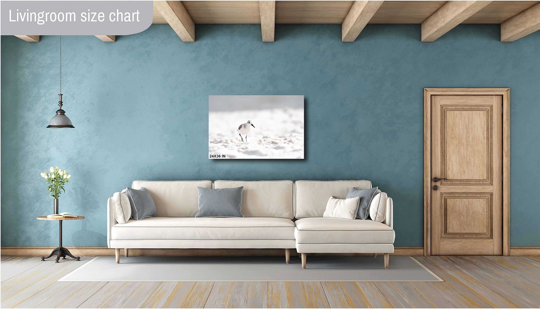 Couch-Artistic_View_of_Sanderling_on_Beach_4119_For_Print-24X36-diagram