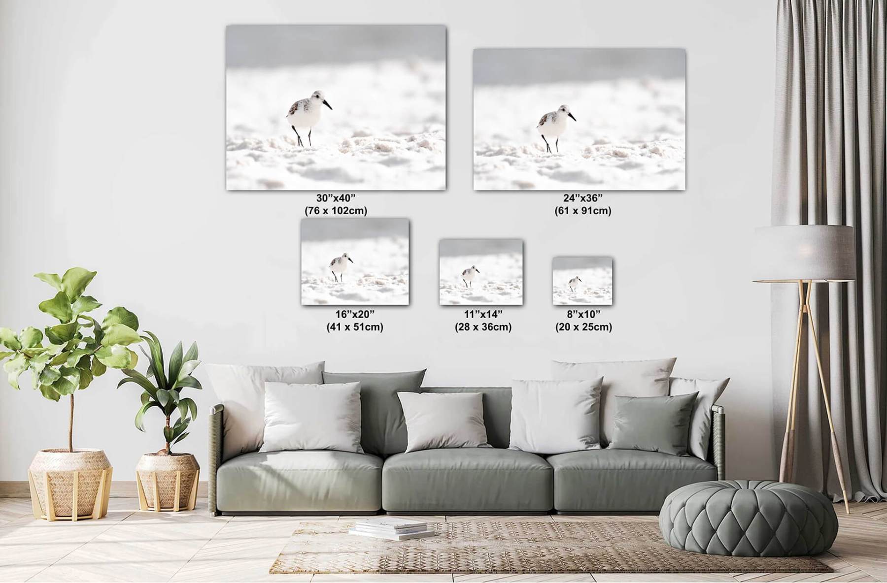 Couch-Multiple-Artistic_View_of_Sanderling_on_Beach_4119_For_Print-10X20-diagram