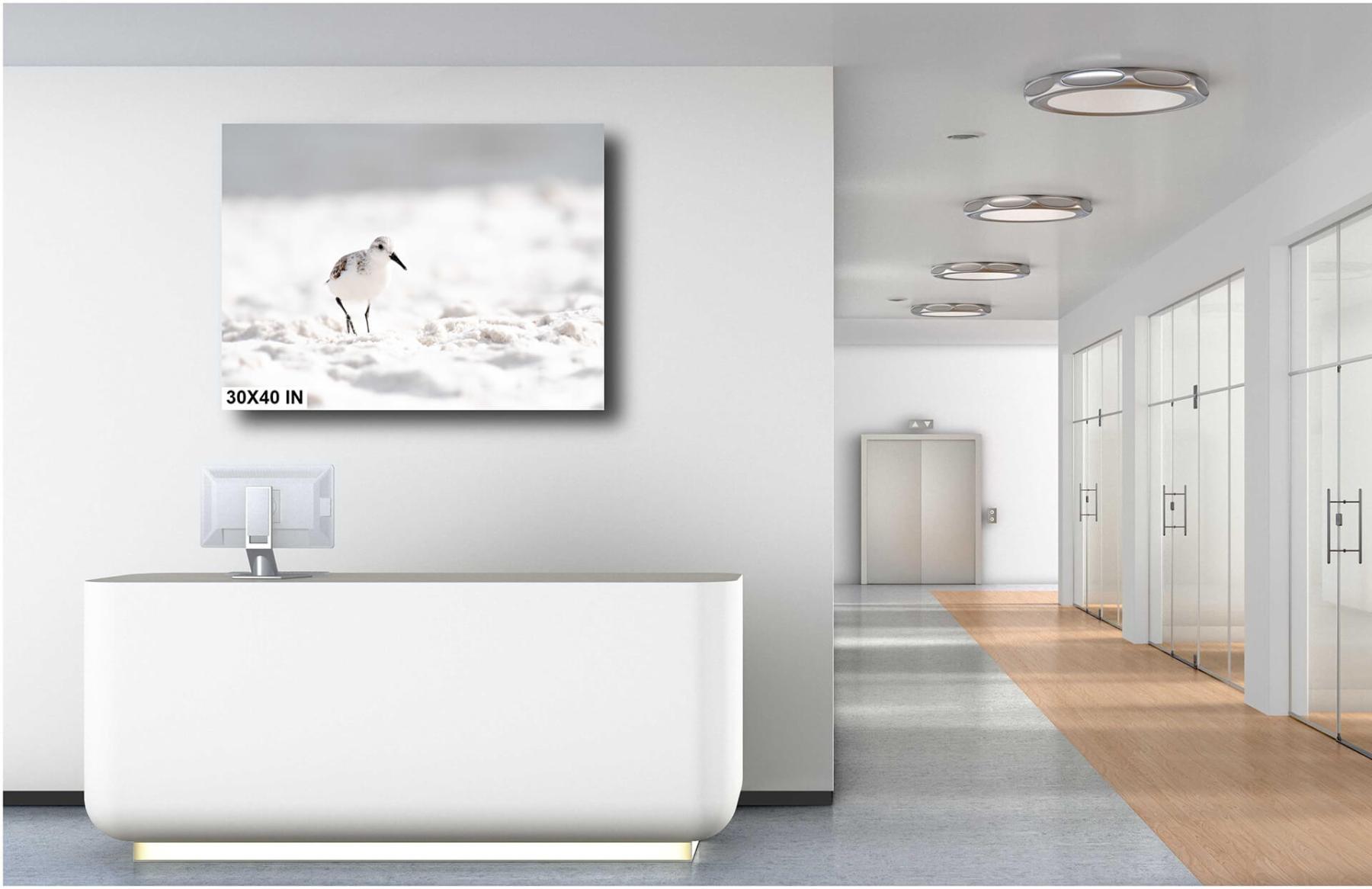 Desk-Artistic_View_of_Sanderling_on_Beach_4119_For_Print-30X40-diagram
