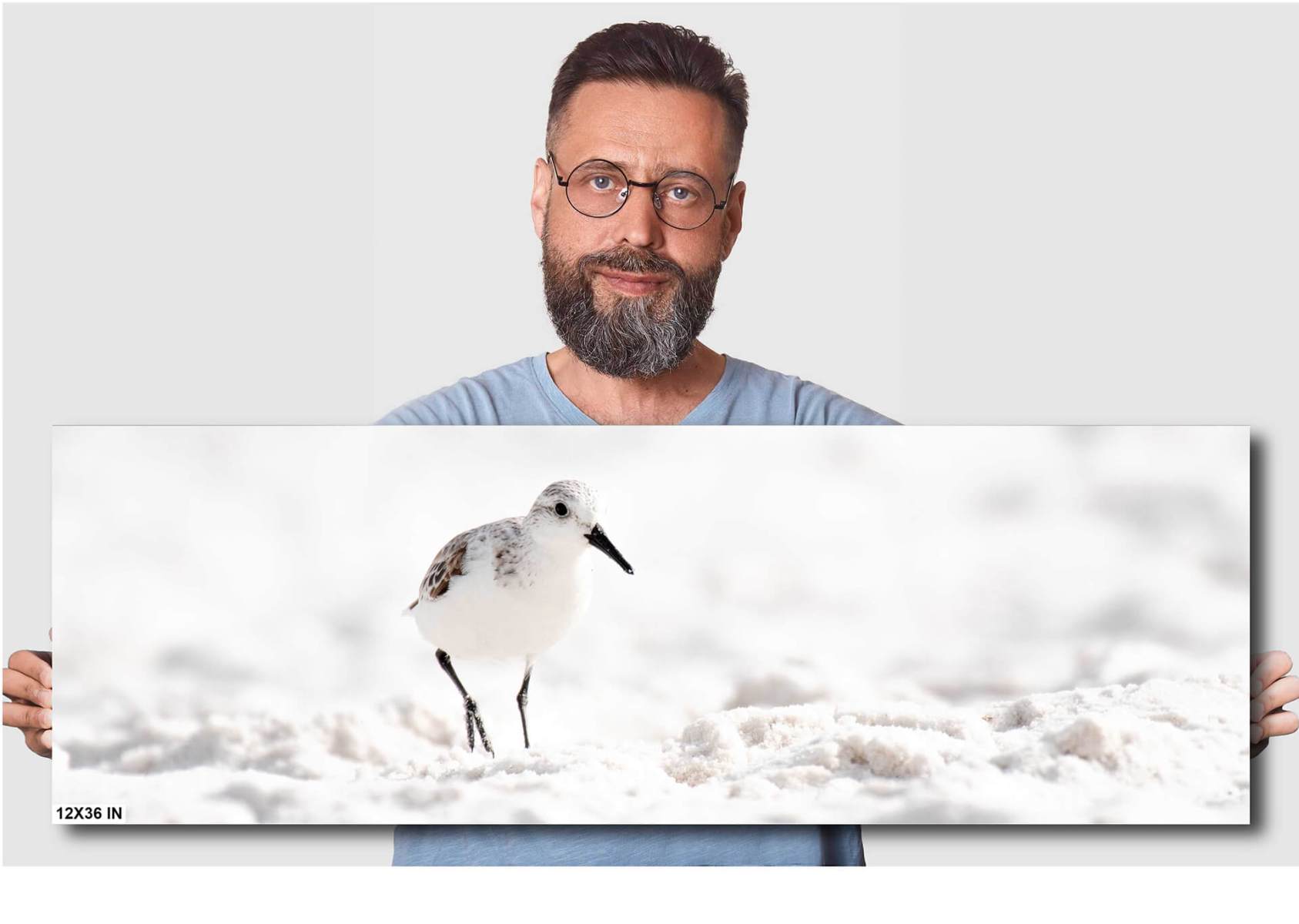 Man-Artistic_View_of_Sanderling_on_Beach_4119_For_Print-12X36-diagram
