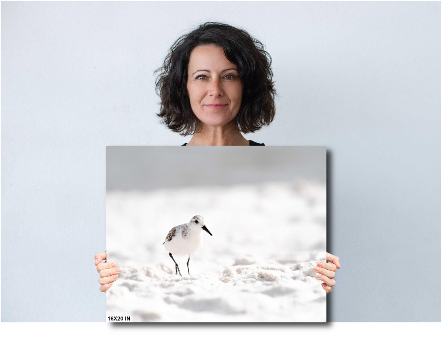 Women-Artistic_View_of_Sanderling_on_Beach_4119_For_Print-16X20-diagram