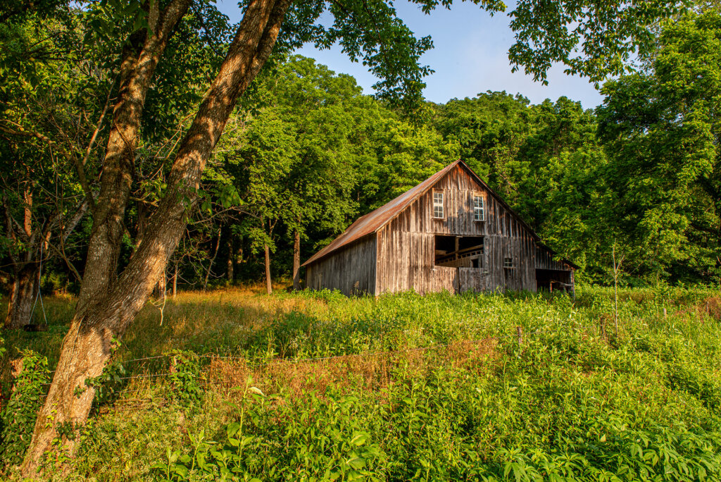 Small barn hiding in the trees in boxely valley - Copyright Randy G. Barney Photography