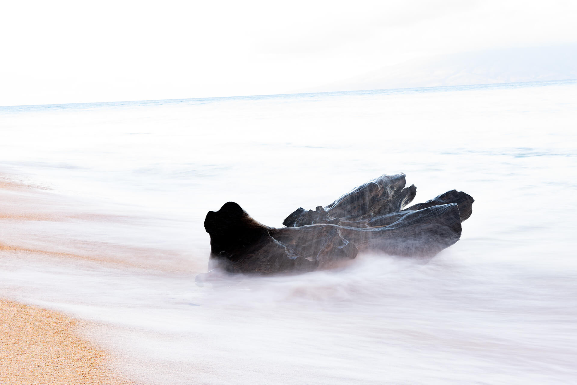 Lone Log in the Sea Mist of a Maui Beach - Copyright Randy G. Barney