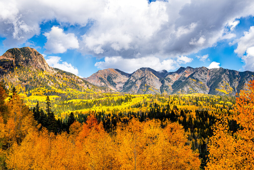 An entire valley of Quaking Aspens surrounded by rising mountain peaks - Copyright Randy G. Barney Photography