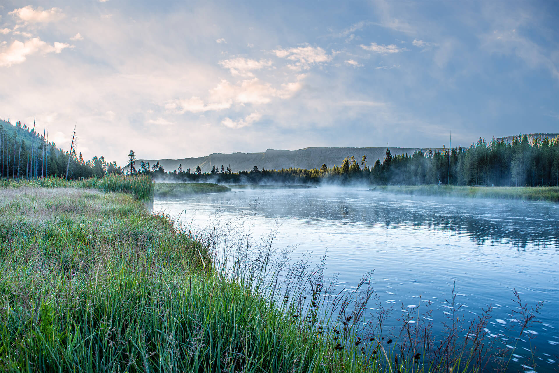 Early morning view of mist rising off the Madison river in Yellowstone - Copyright Randy G Barney Photography